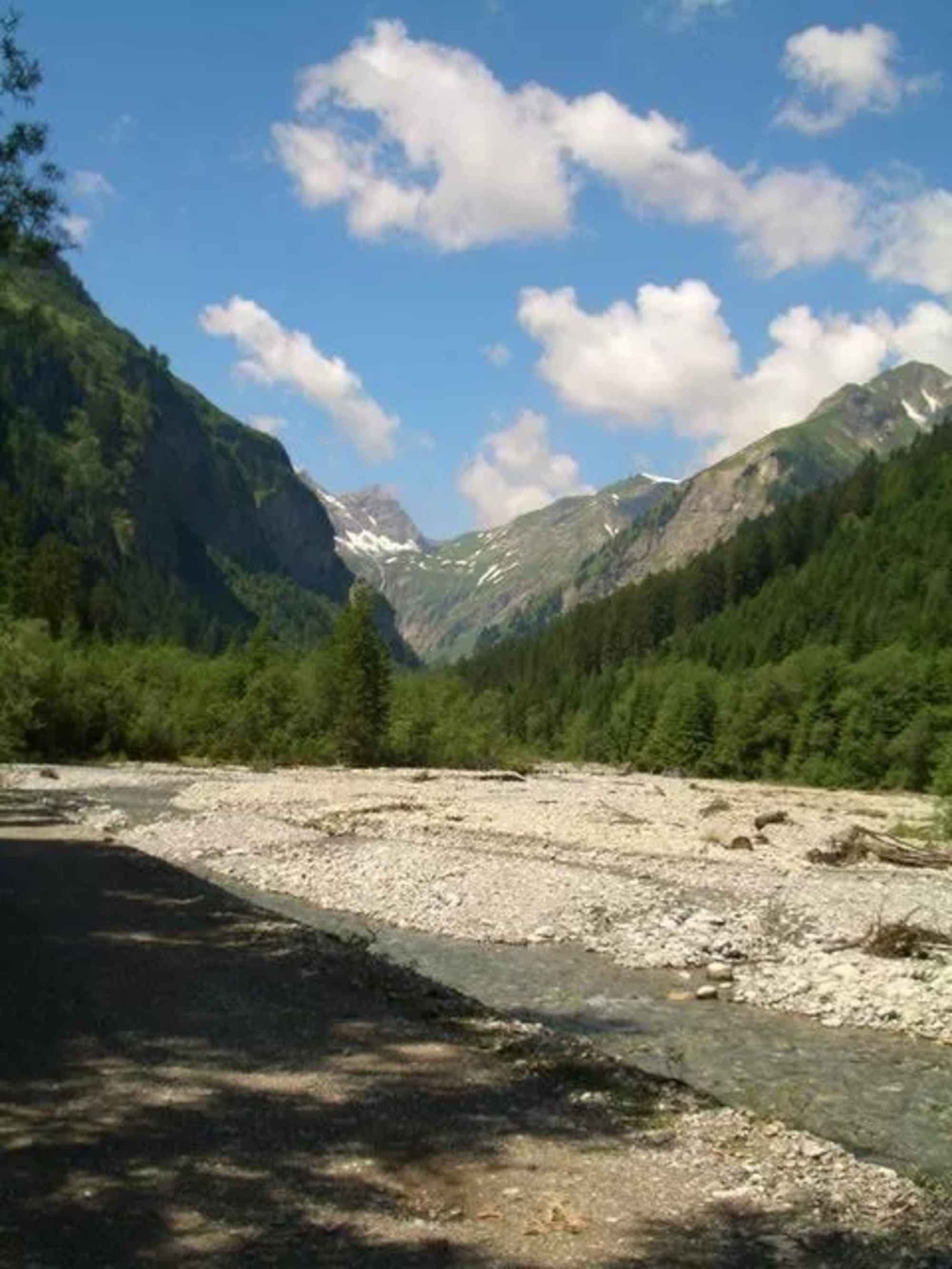 Der Hinterhornbach ist ständiger Begleiter auf dieser Wanderung.