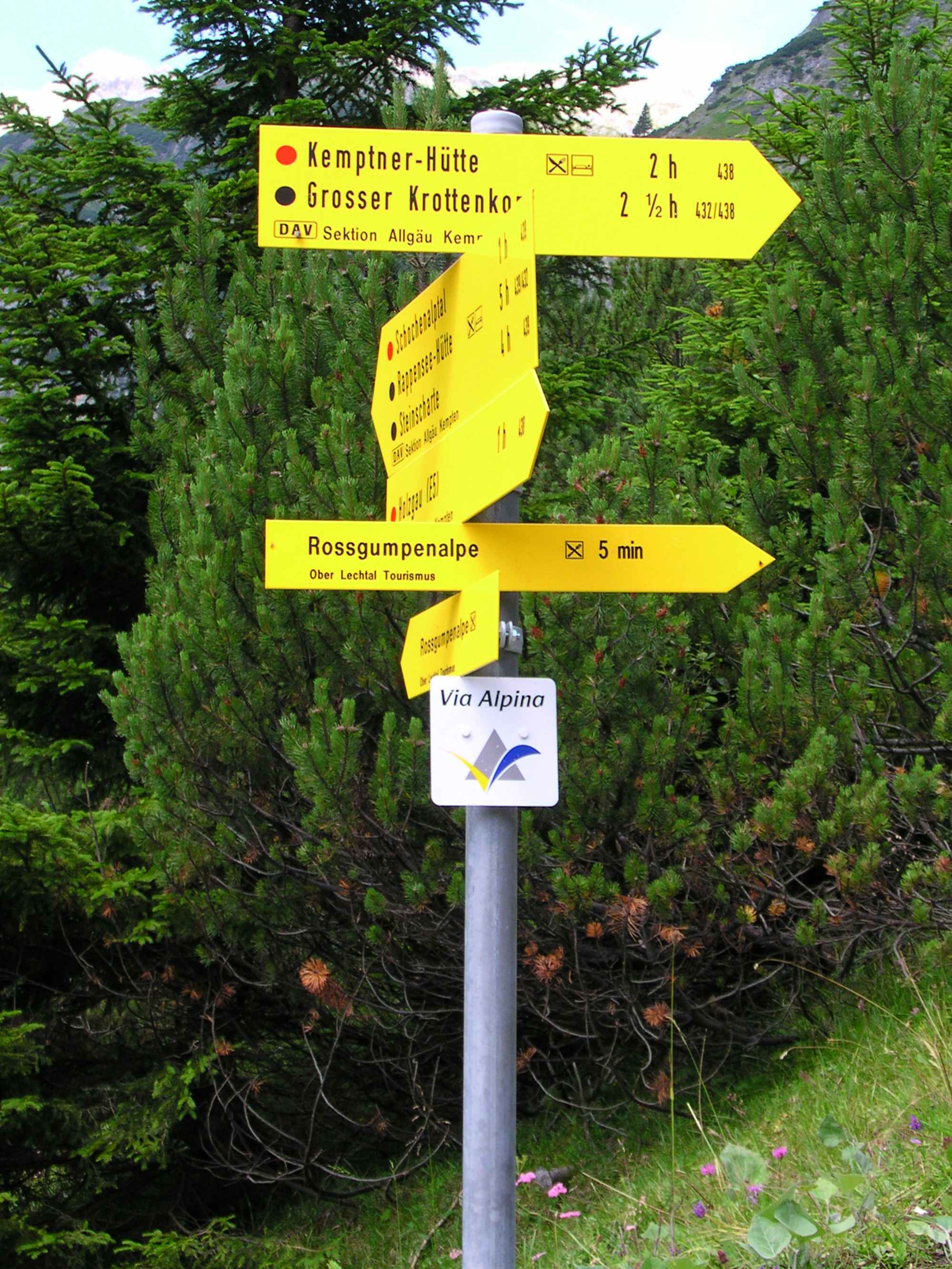 Wegweiser bei der Roßgumpenalp mit Schild Via Alpina Gelb