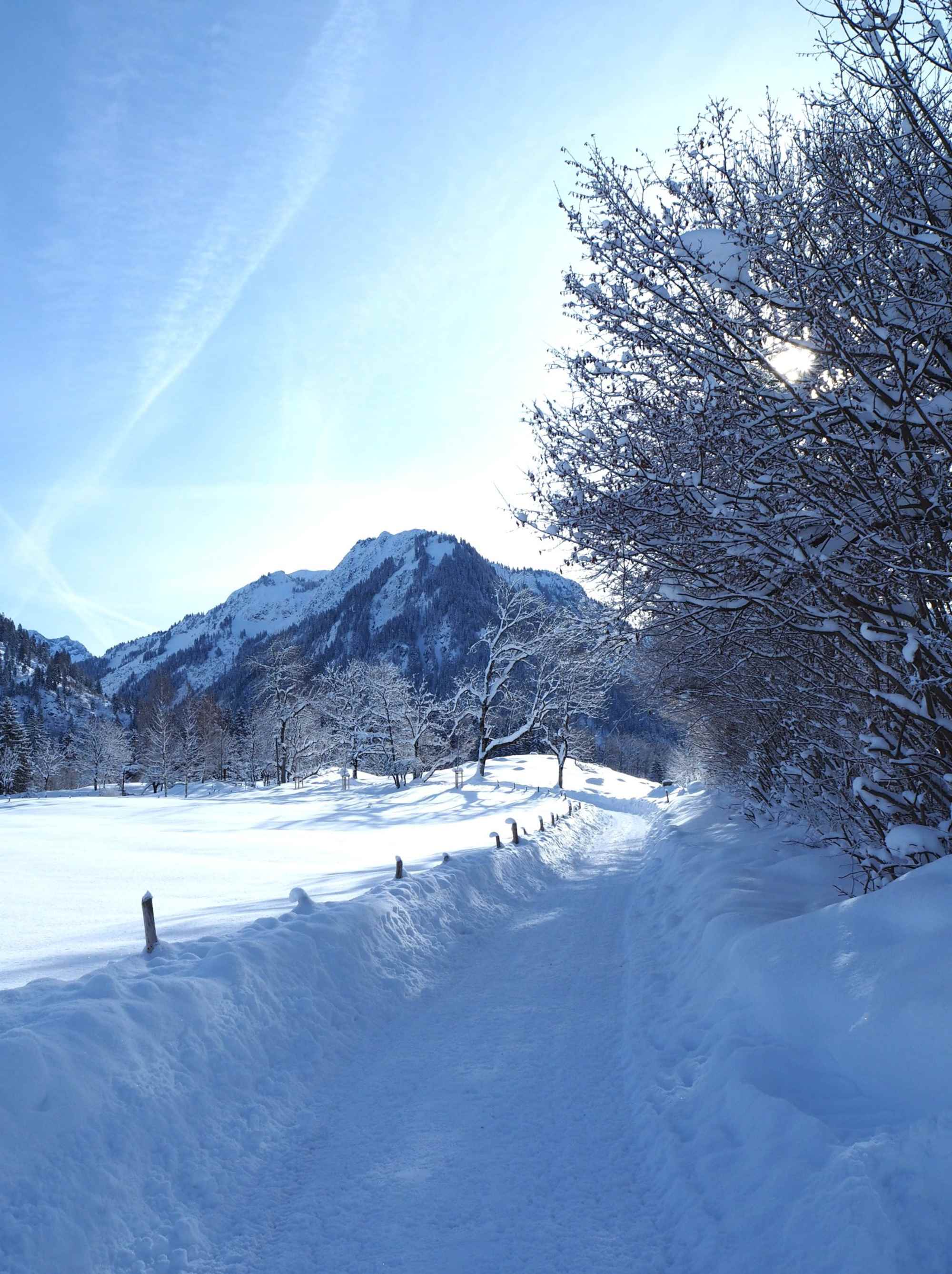 Rückweg Nähe Moorweiher