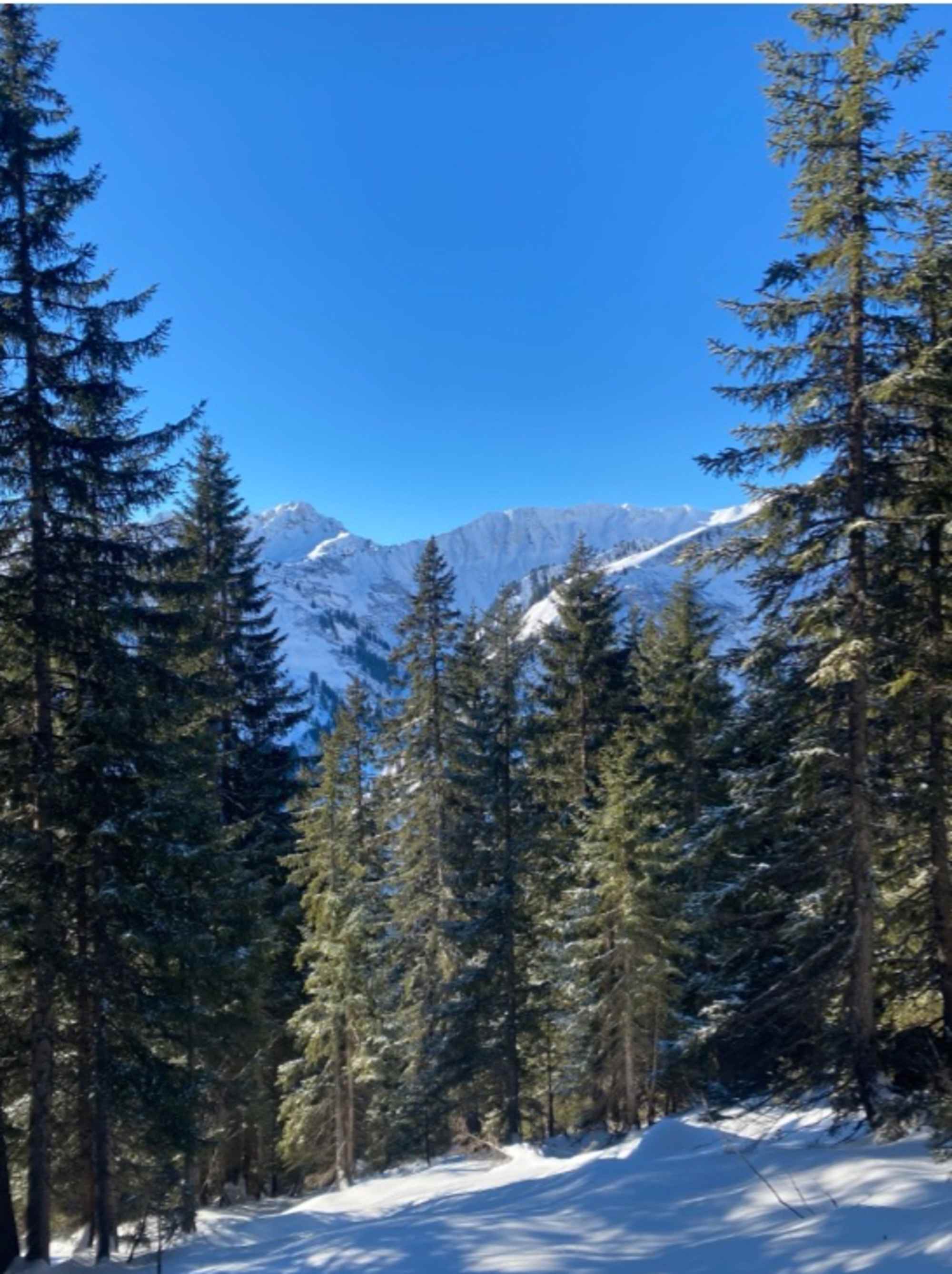 Bald schon genießt man erste Blicke auf die Berge.