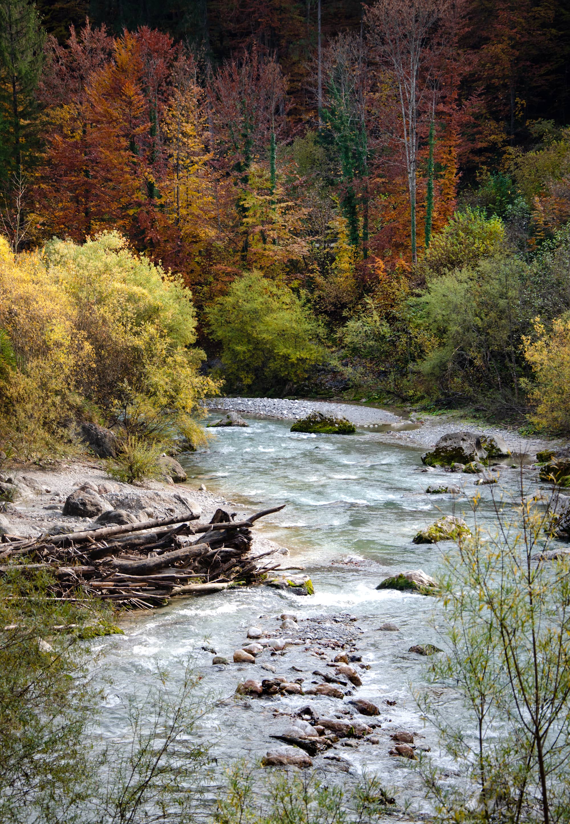 Loisach im Herbst