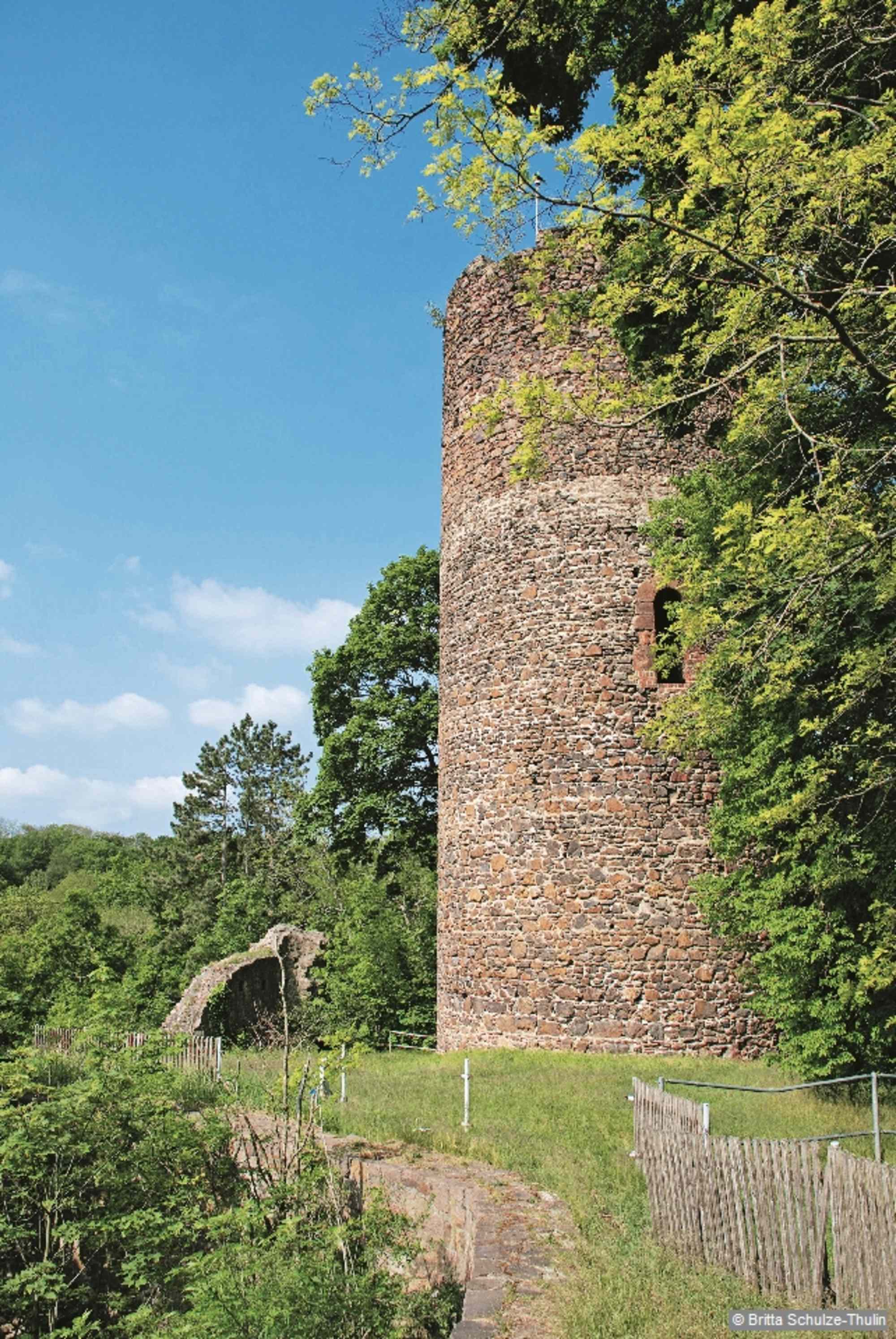 Die Burgruine Kohren.