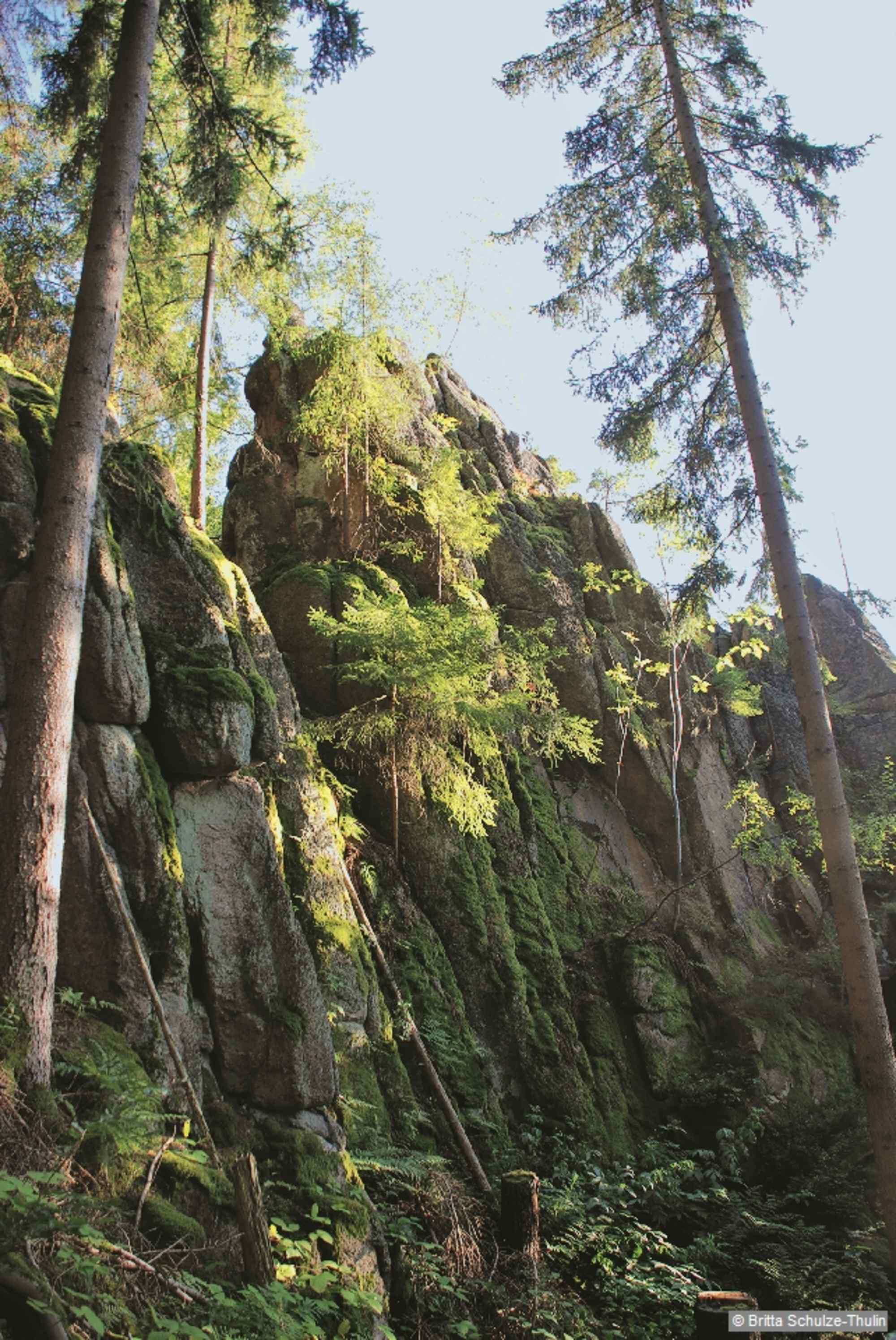 Im Wald ist der eindrucksvolle Kletterfelsen Höllengrundspitze zu finden.