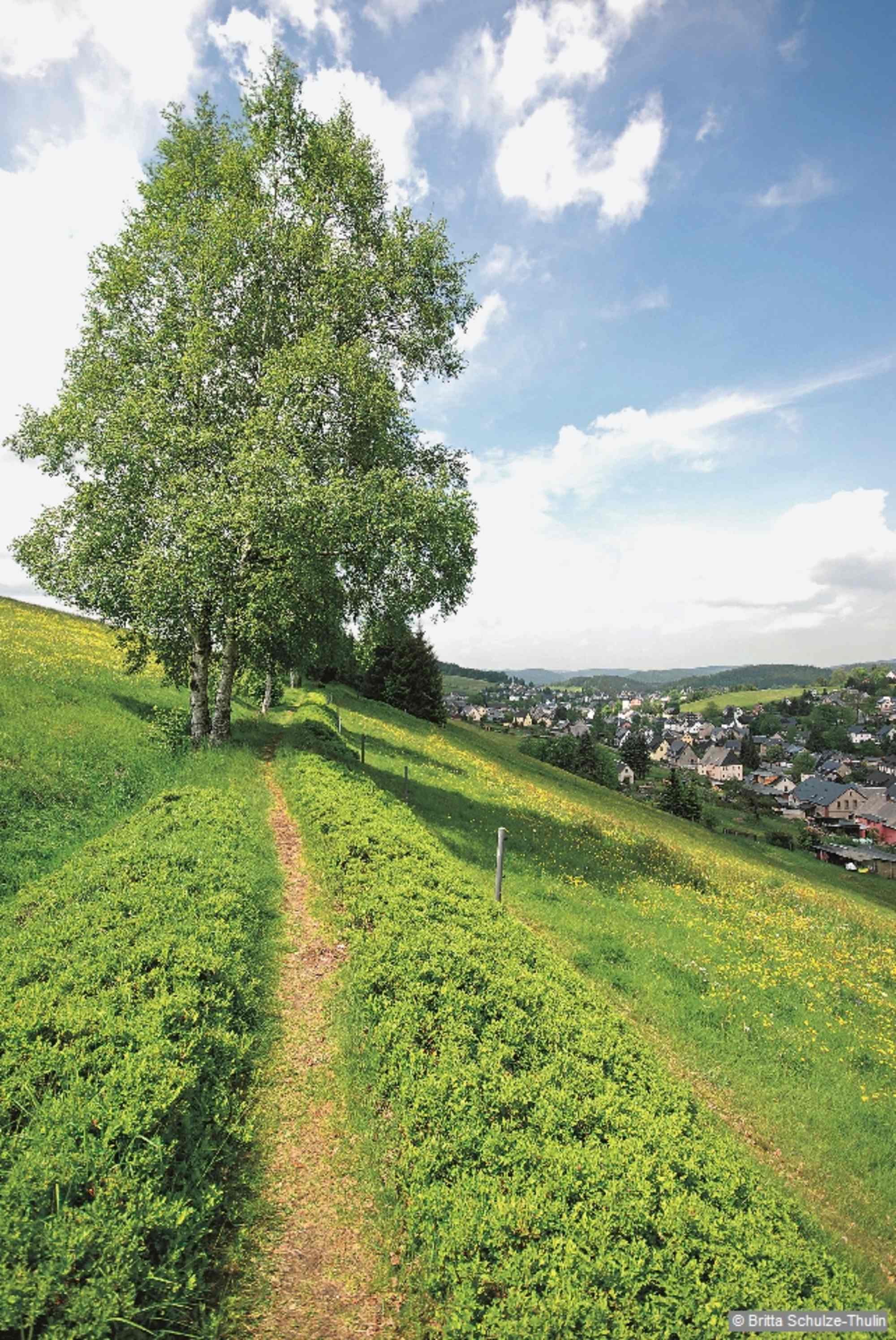 Obstbaumwanderweg Am Ende der Wanderung.