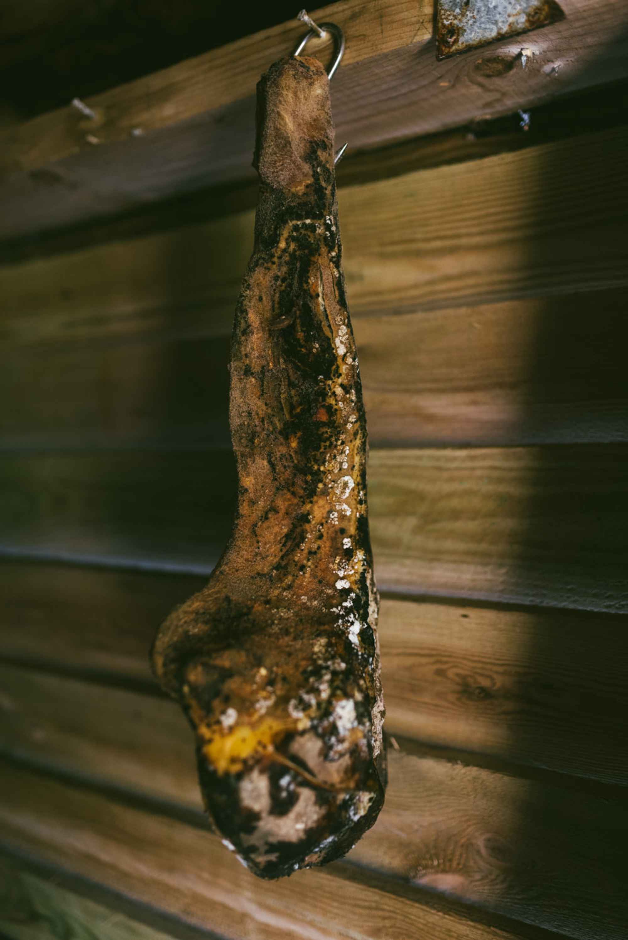 Fermentierte Schafshaxe