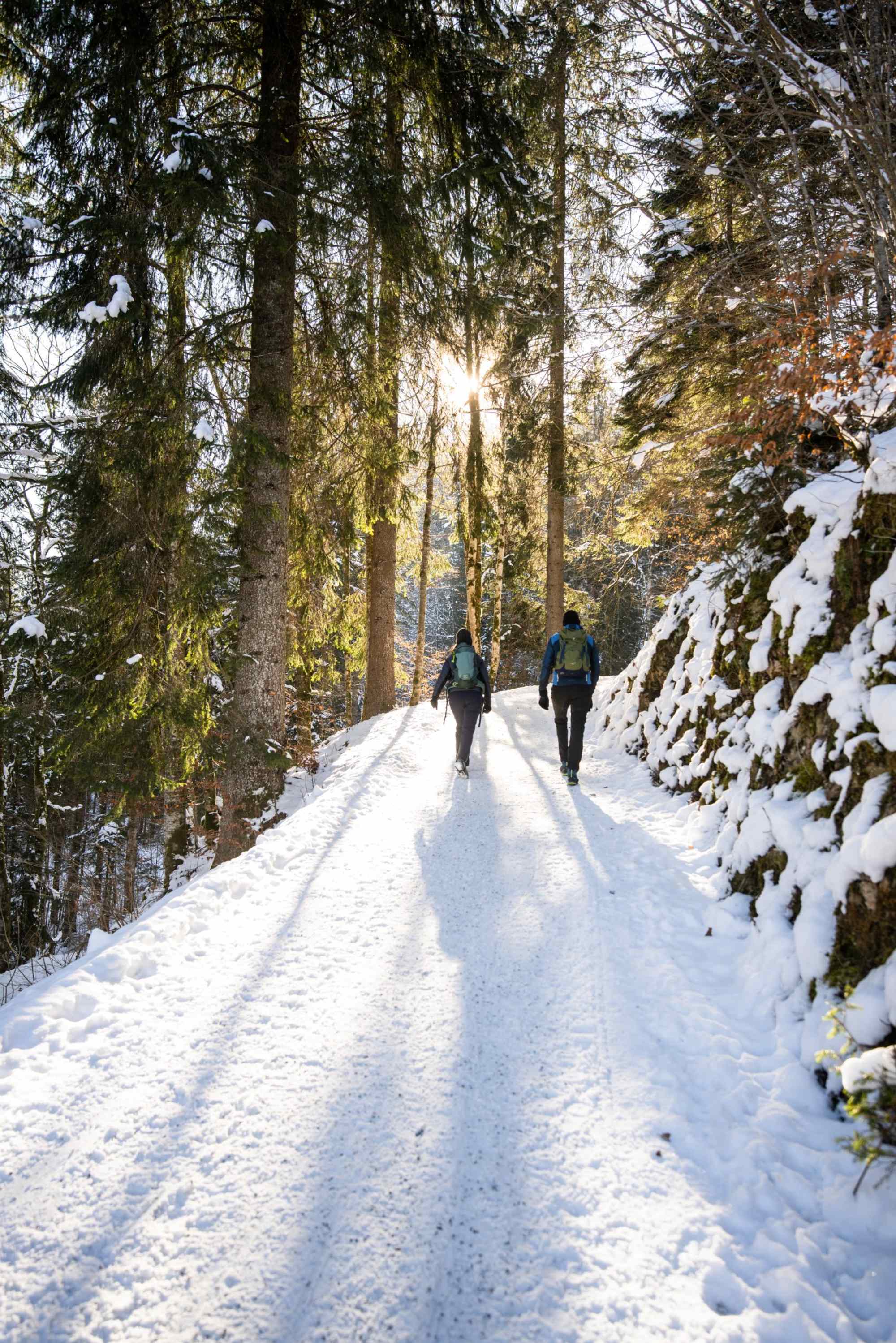 Winterwanderung zum Freibergsee.