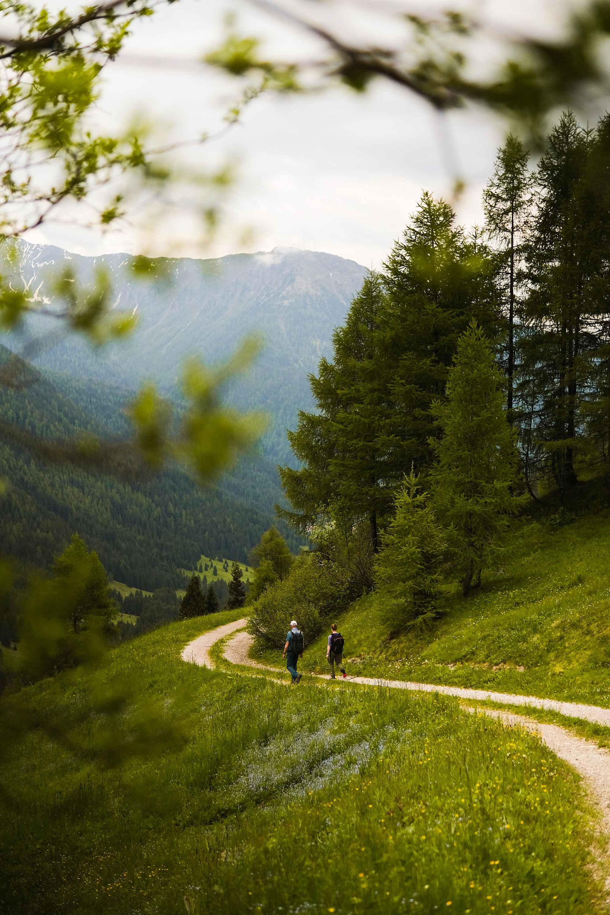 Almweg 2000 im Gsiesertal