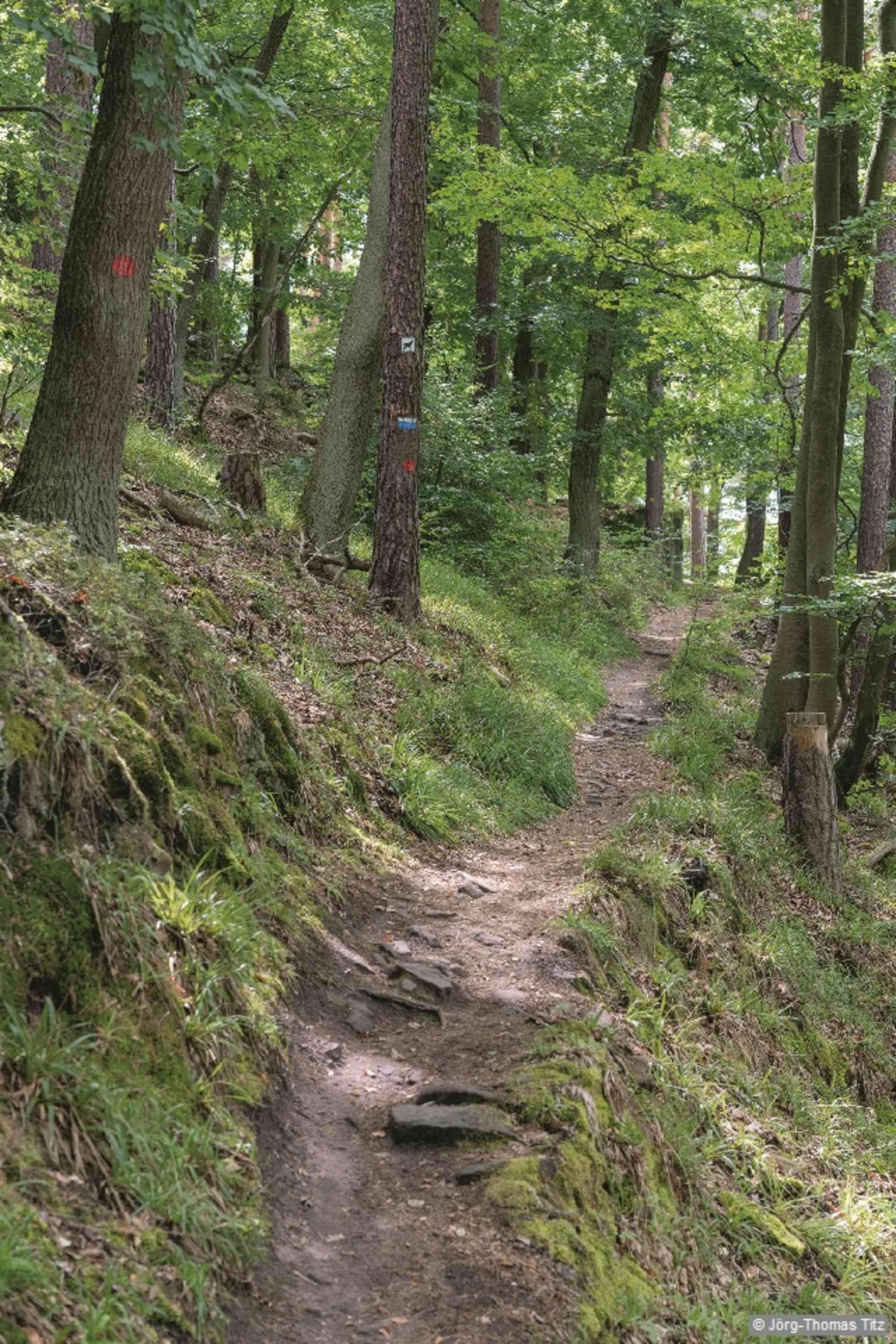 Wir kommen am Hohlen Fels vorbei, in dem die Deidesheimer Freiheitskämpfer des Jahres 1848 Unterschlupf fanden. Danach treffen wir auch wieder auf den roten Punkt.