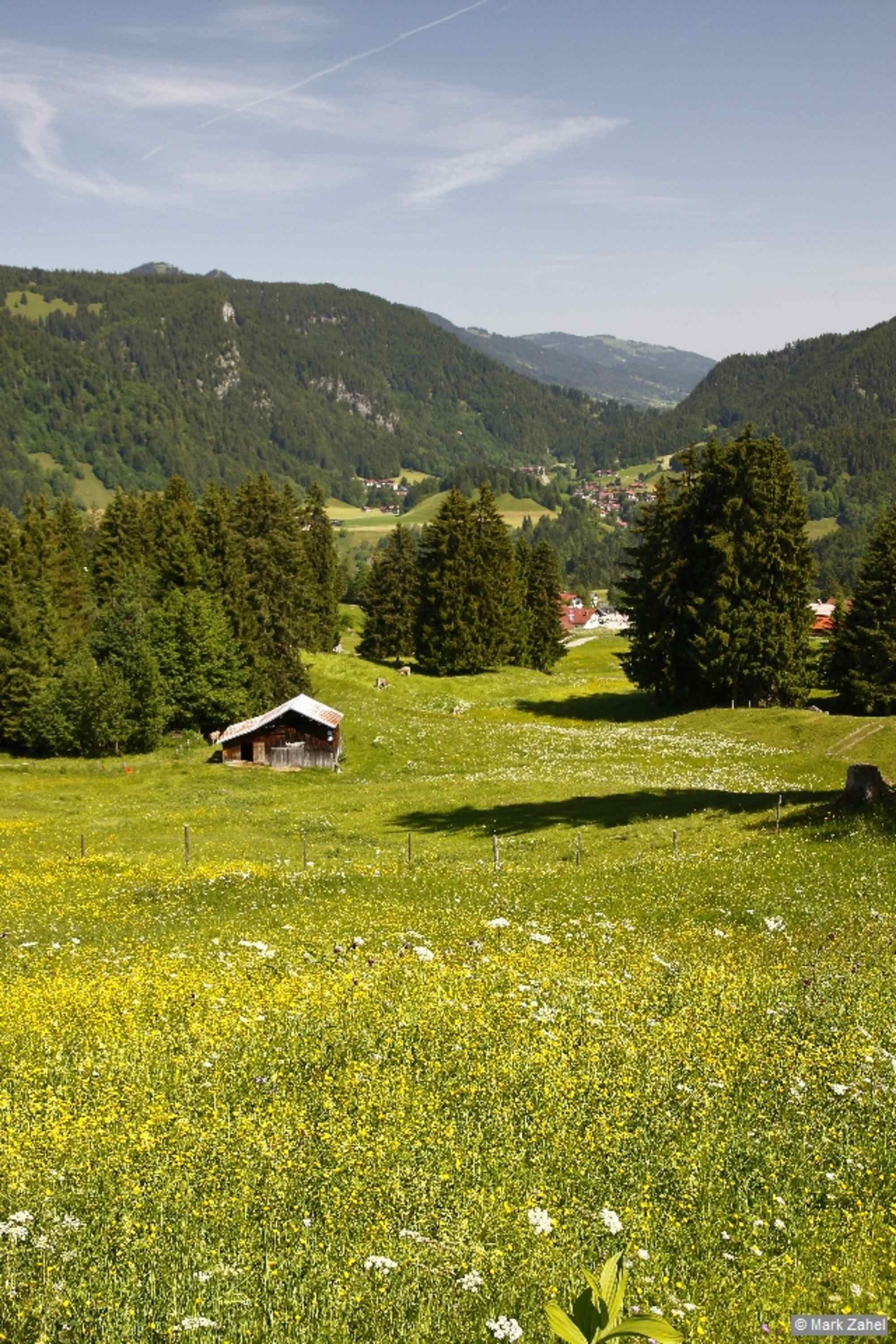 Wiesenlandschaft am Fuße des Söllerecks.