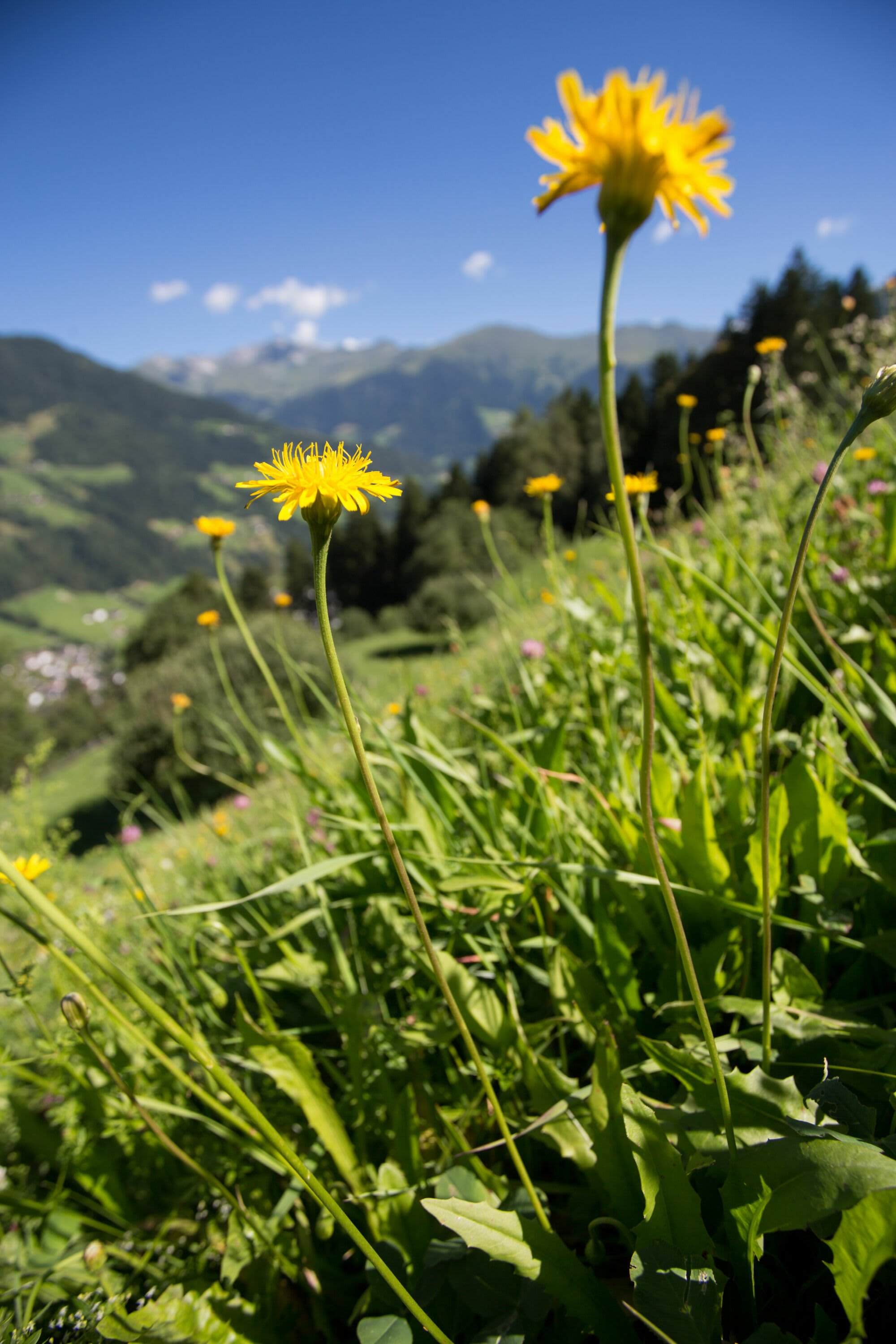 Am Teufelsteinweg