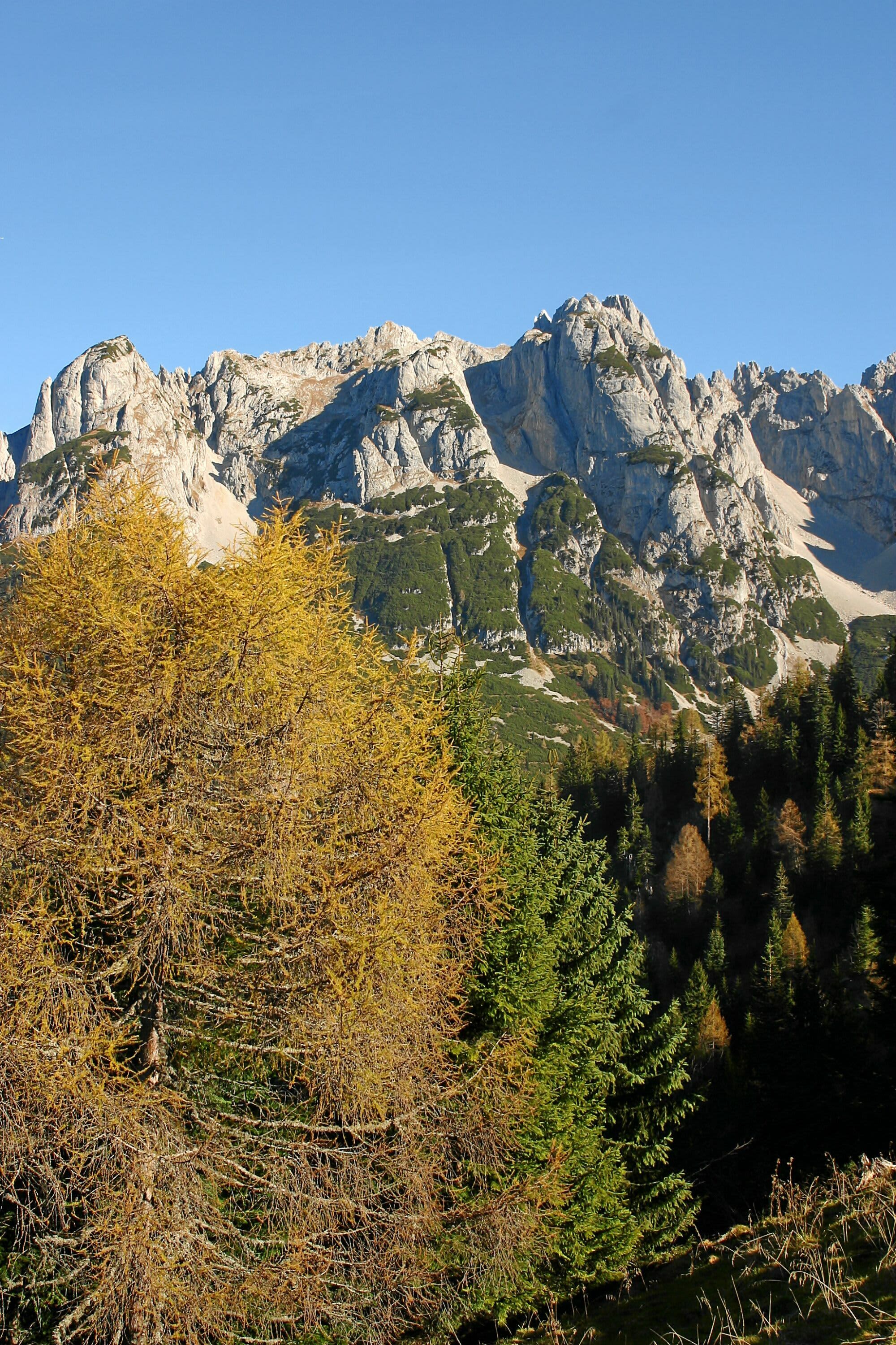 Mandlkogel