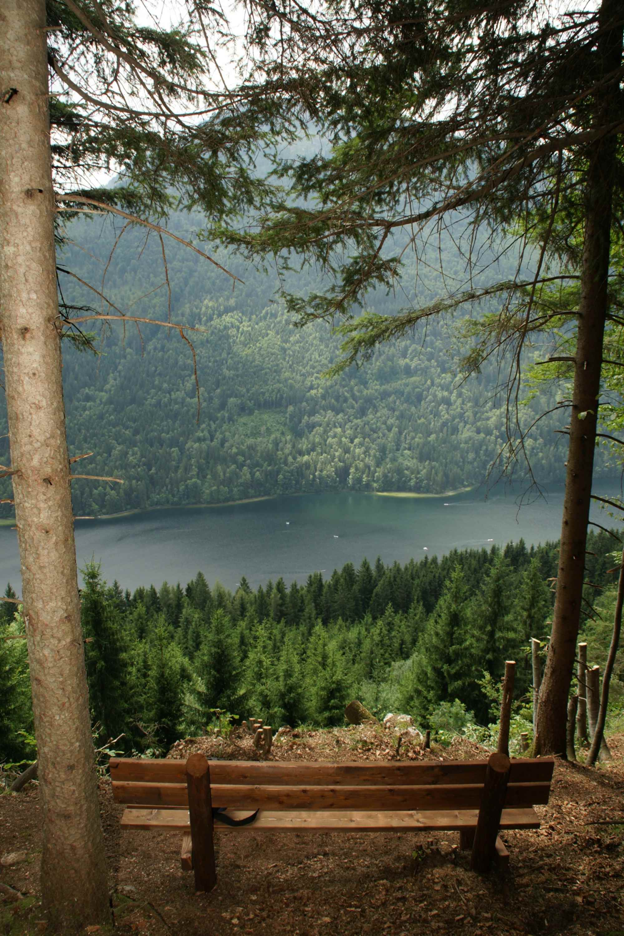 Ausblick am Seeblickbankerl