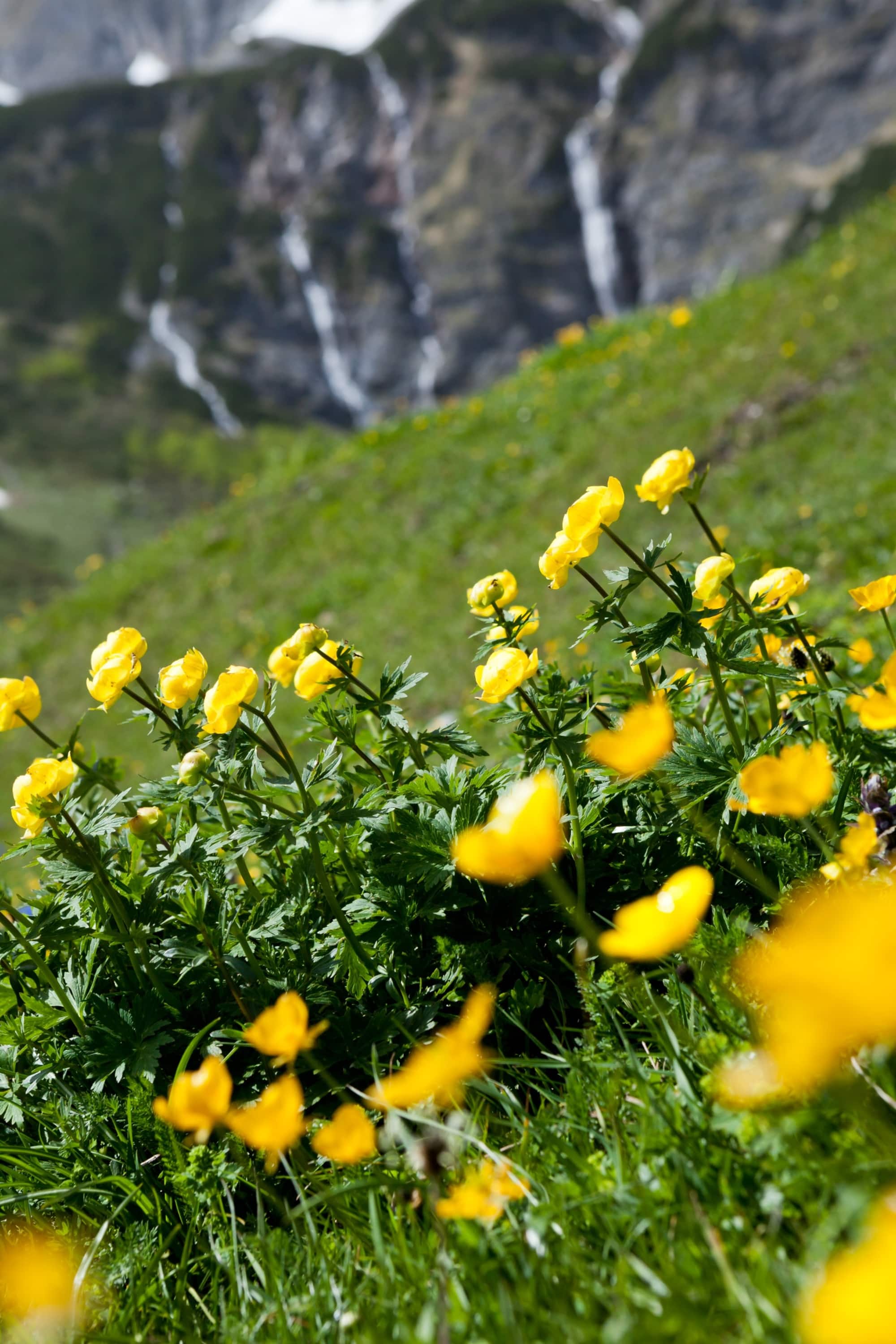 Im Riedingtal