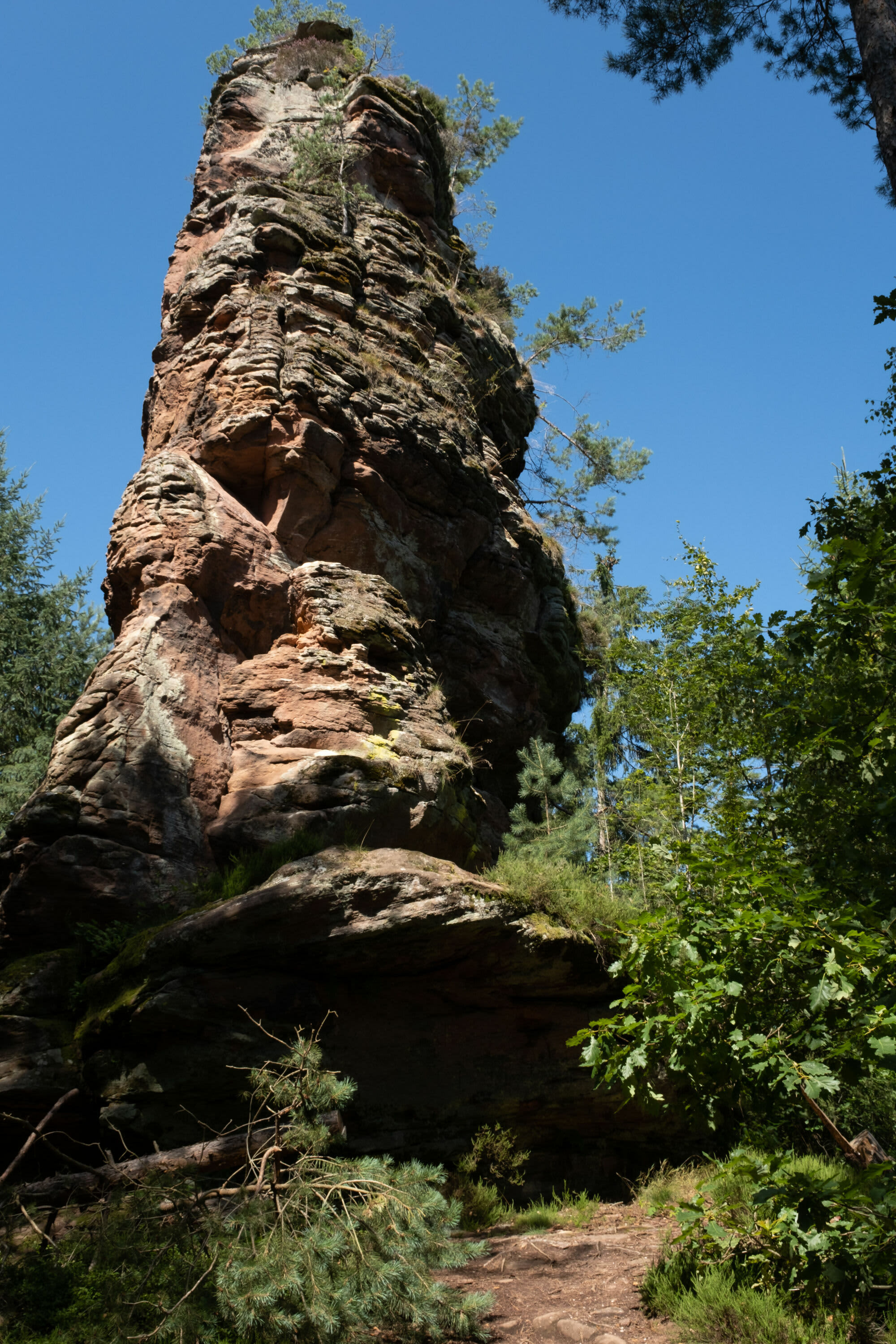 Am Napoleonsteig