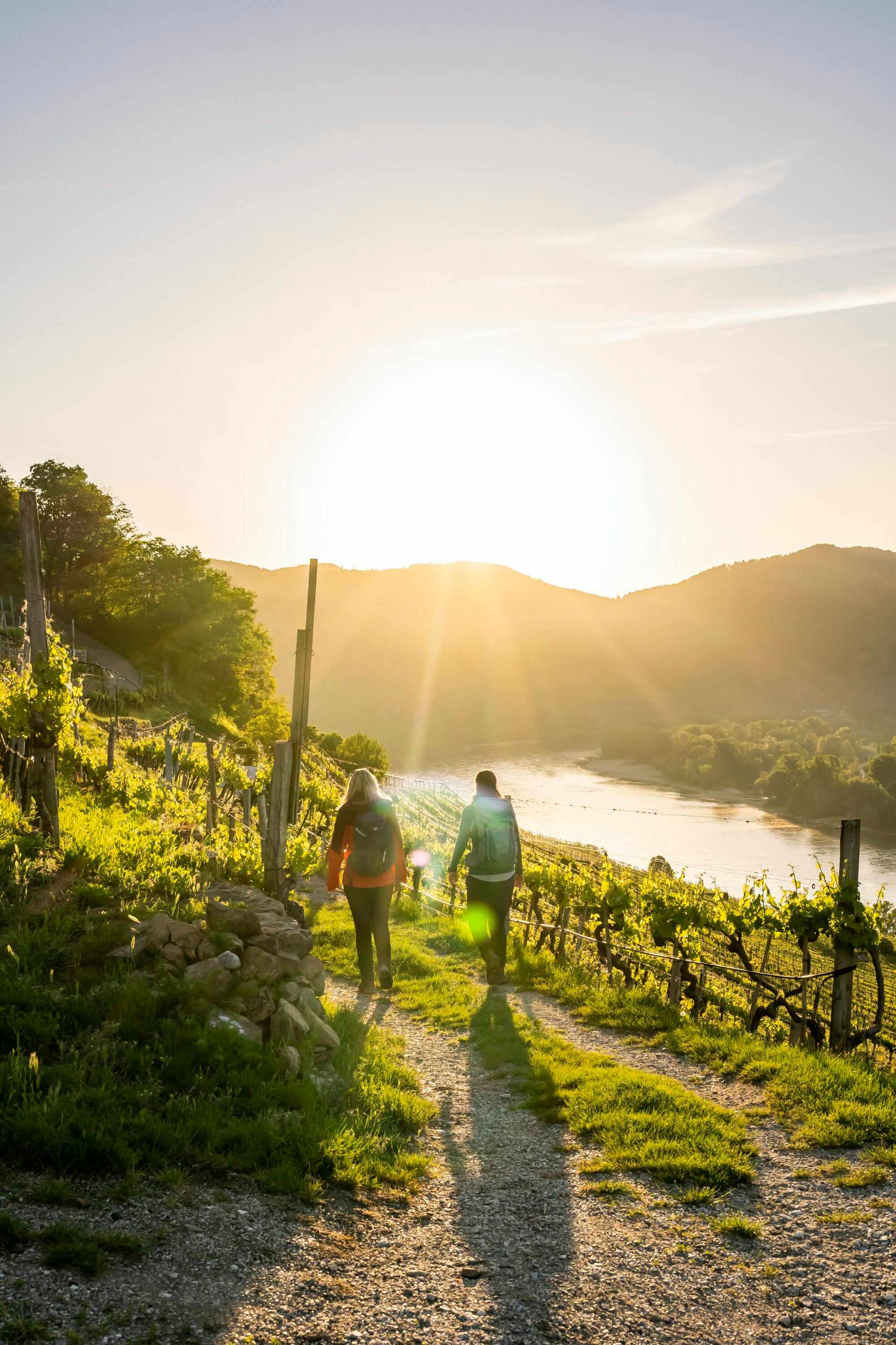 Welterbesteig Wachau - Etappe 2: Weissenkirchen