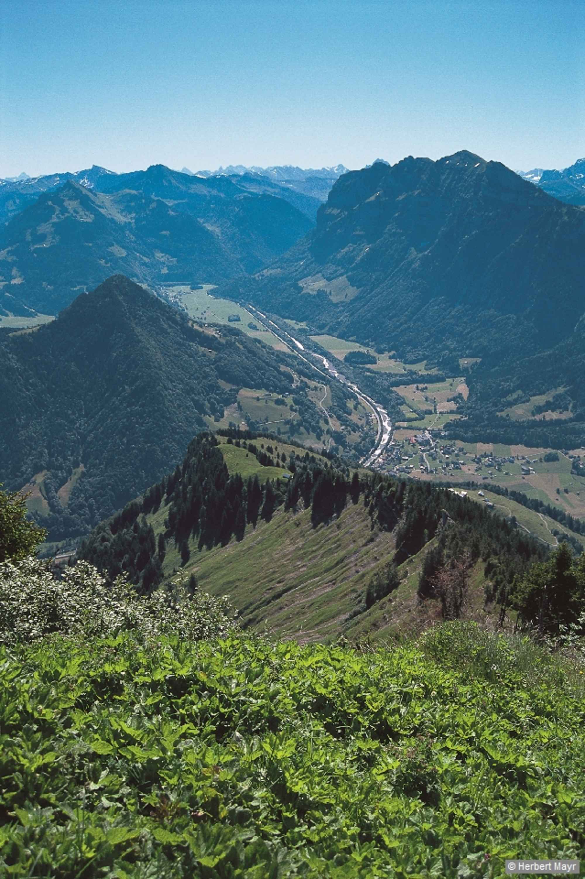 Wir mühen uns nicht mehr ganz so steil zwischen Fichtengruppen empor zur wenig abseits des Aufstiegs verfallenen Hangalpe, 1360 m.