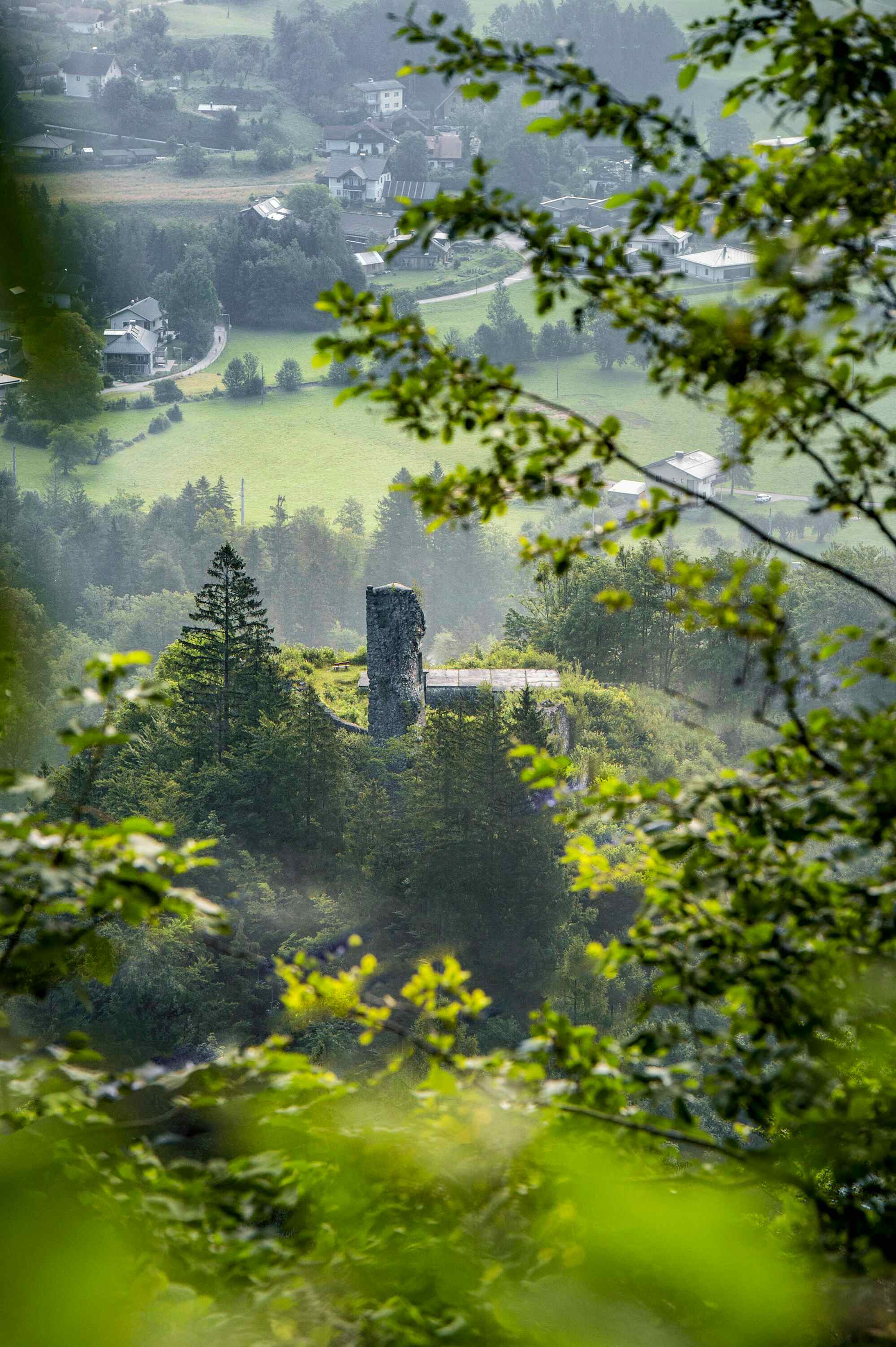 Die Ruine Wildenstein