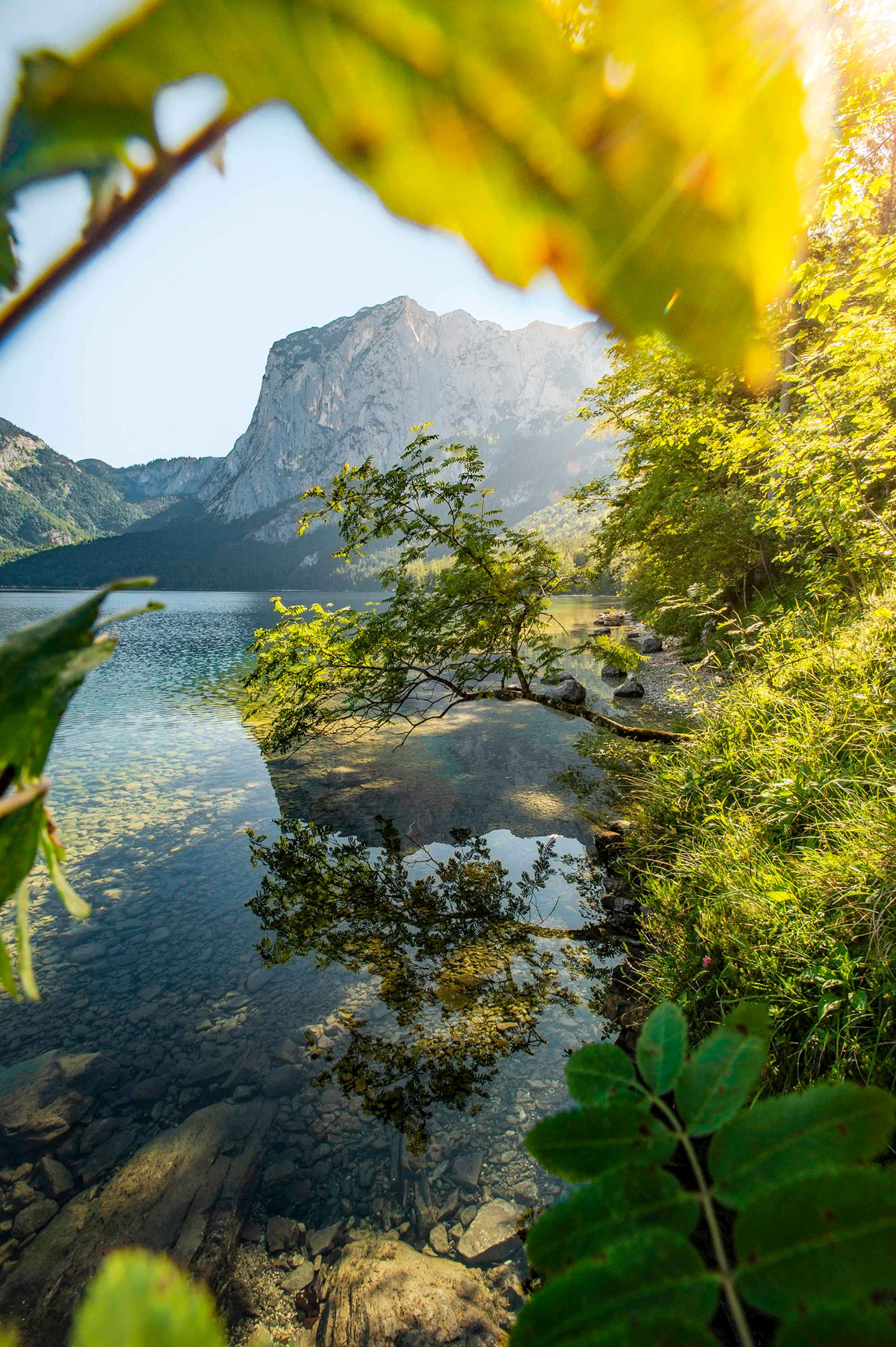 Der Altauseer See