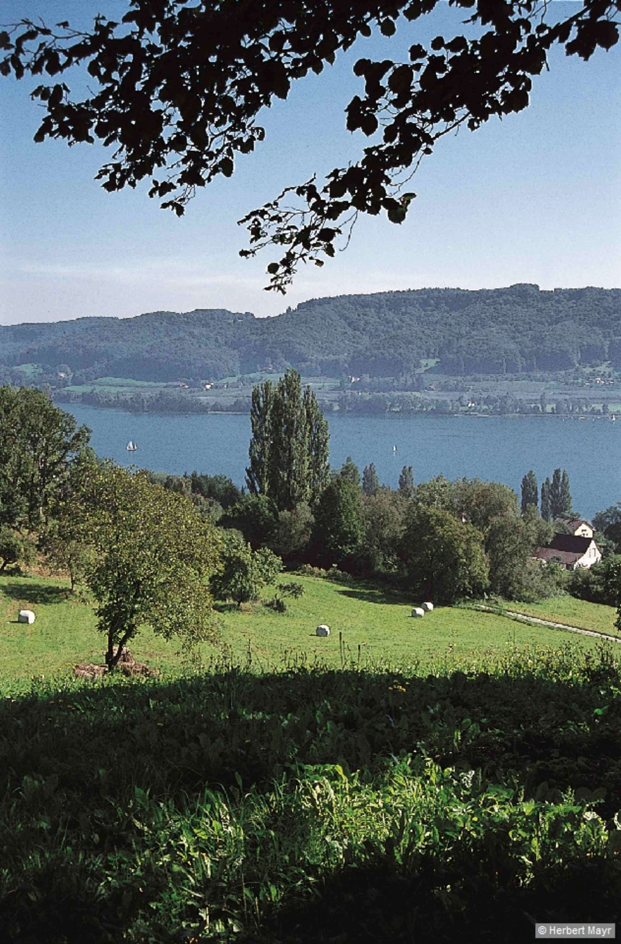 Oberhalb von Katterhorn ergibt sich eine herrliche Aussicht über den fjordartigen Untersee.