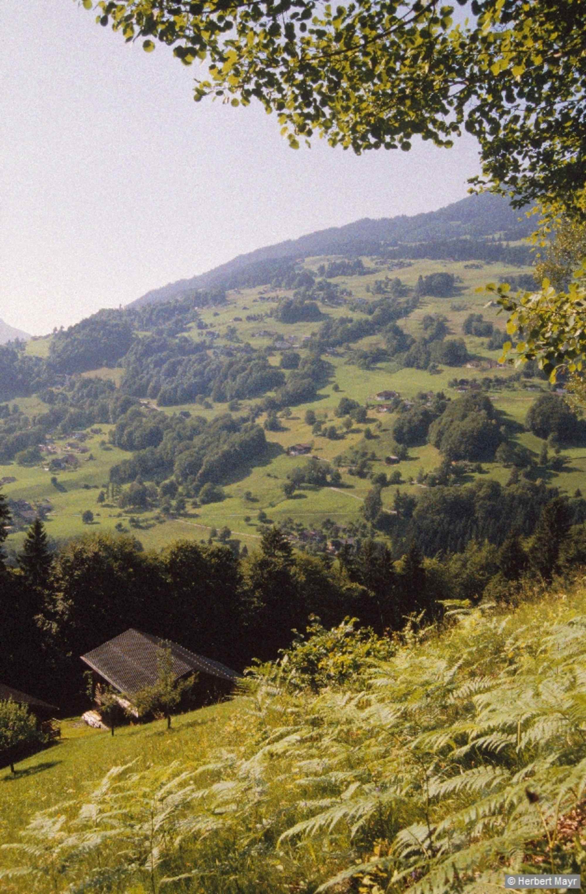 Wandergebiet Bartholomäberg