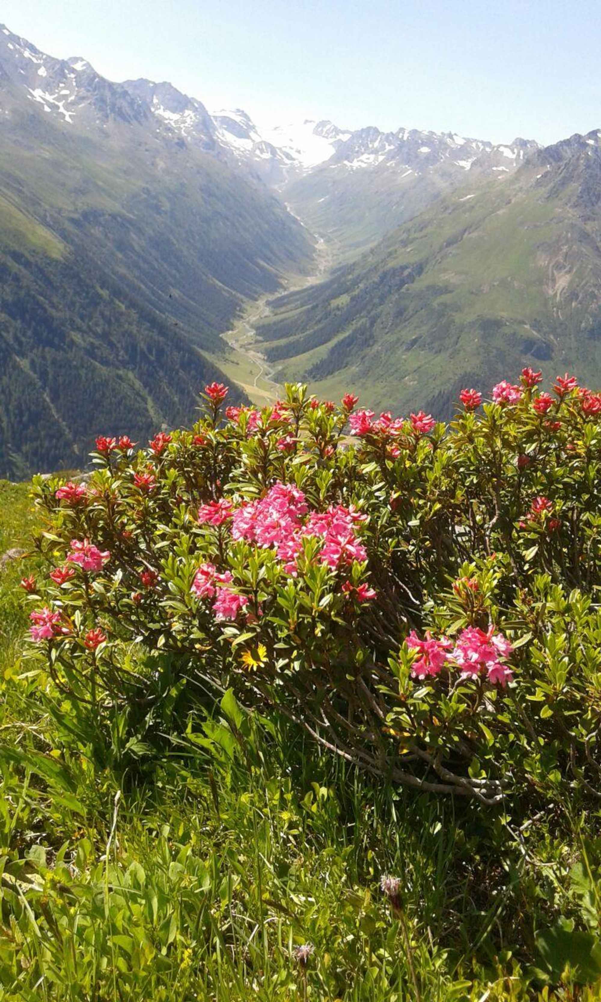 Bike & Hike: Von Galtür auf das Westliche Gamshorn