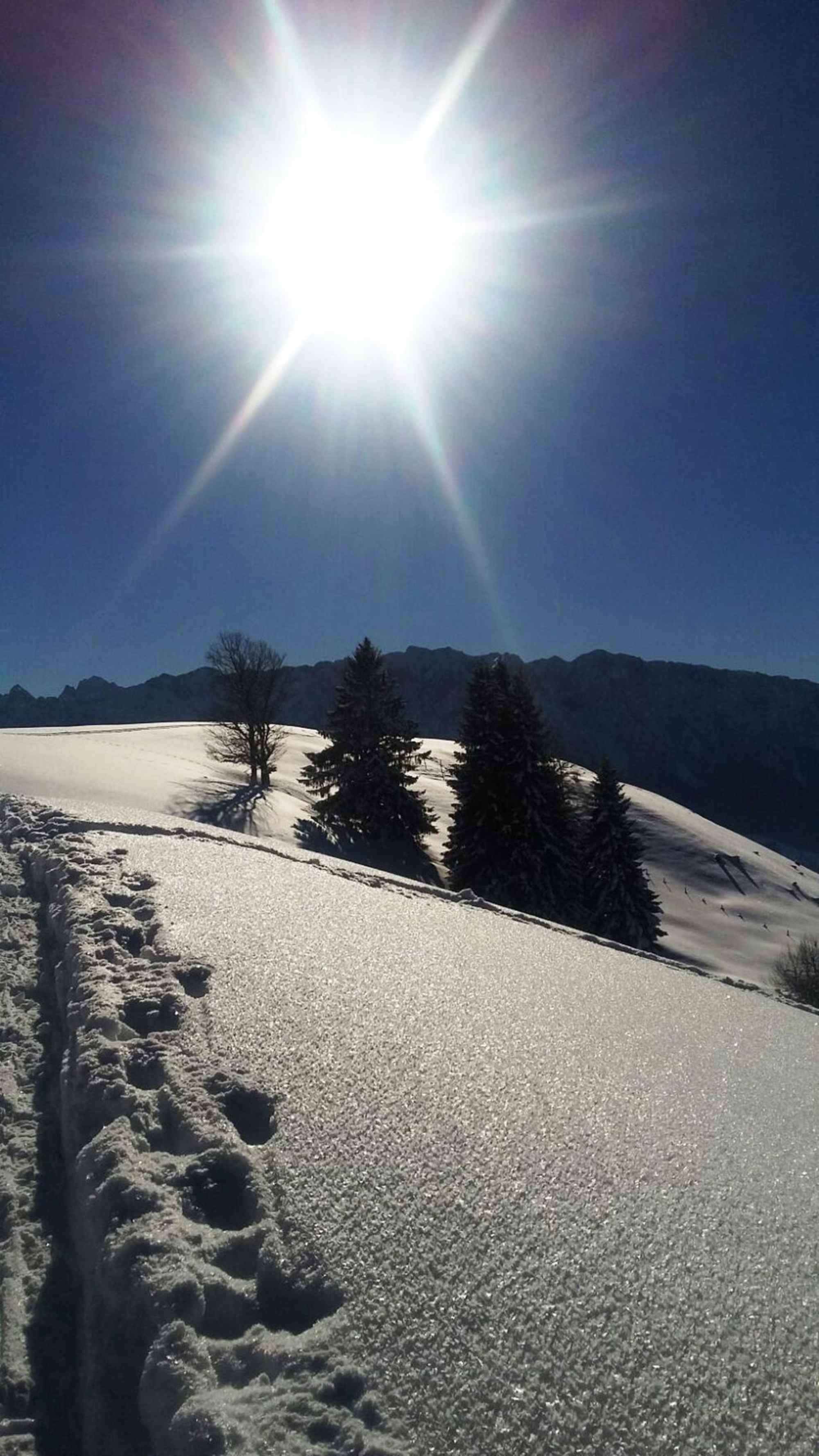 Das schöne Almgelände bei der Kohlalm lädt zu schöne Runden im unberührten Schnee ein.
