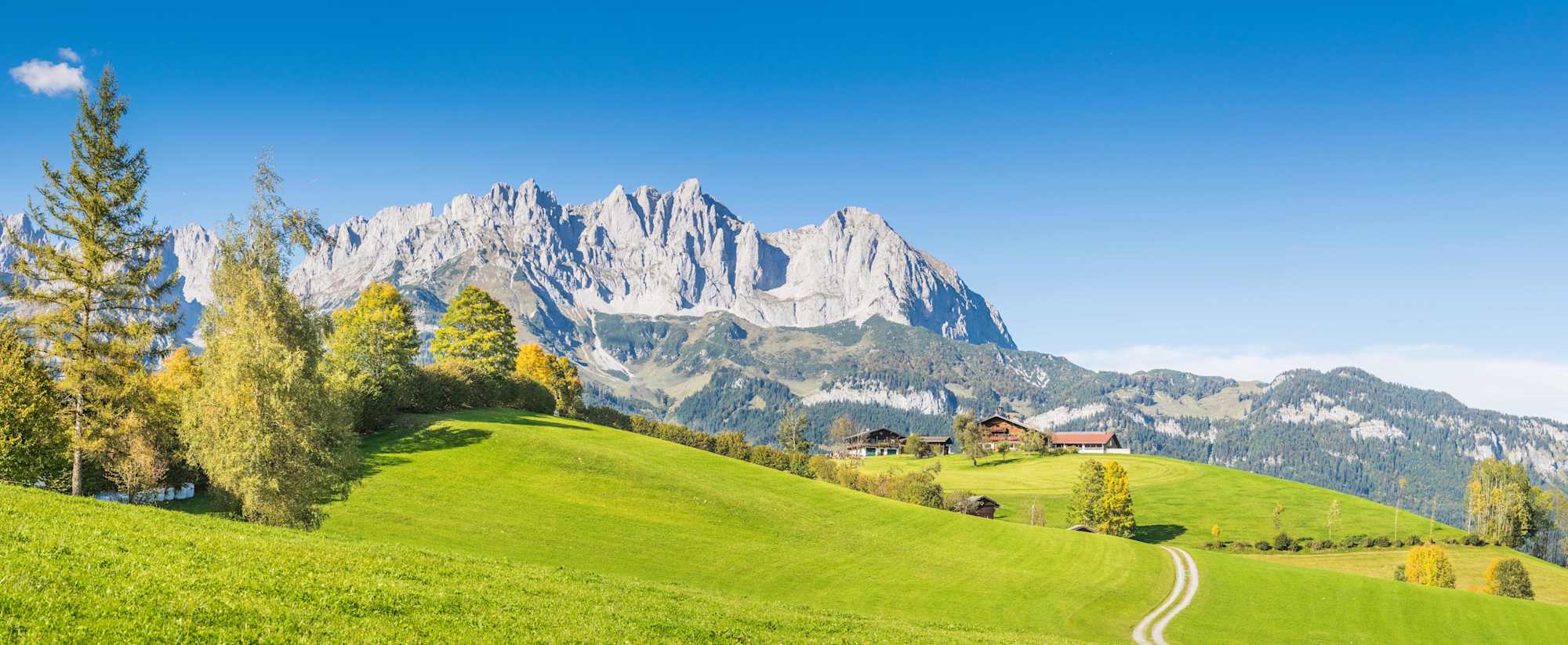 Ausblick auf den Wilden Kaiser