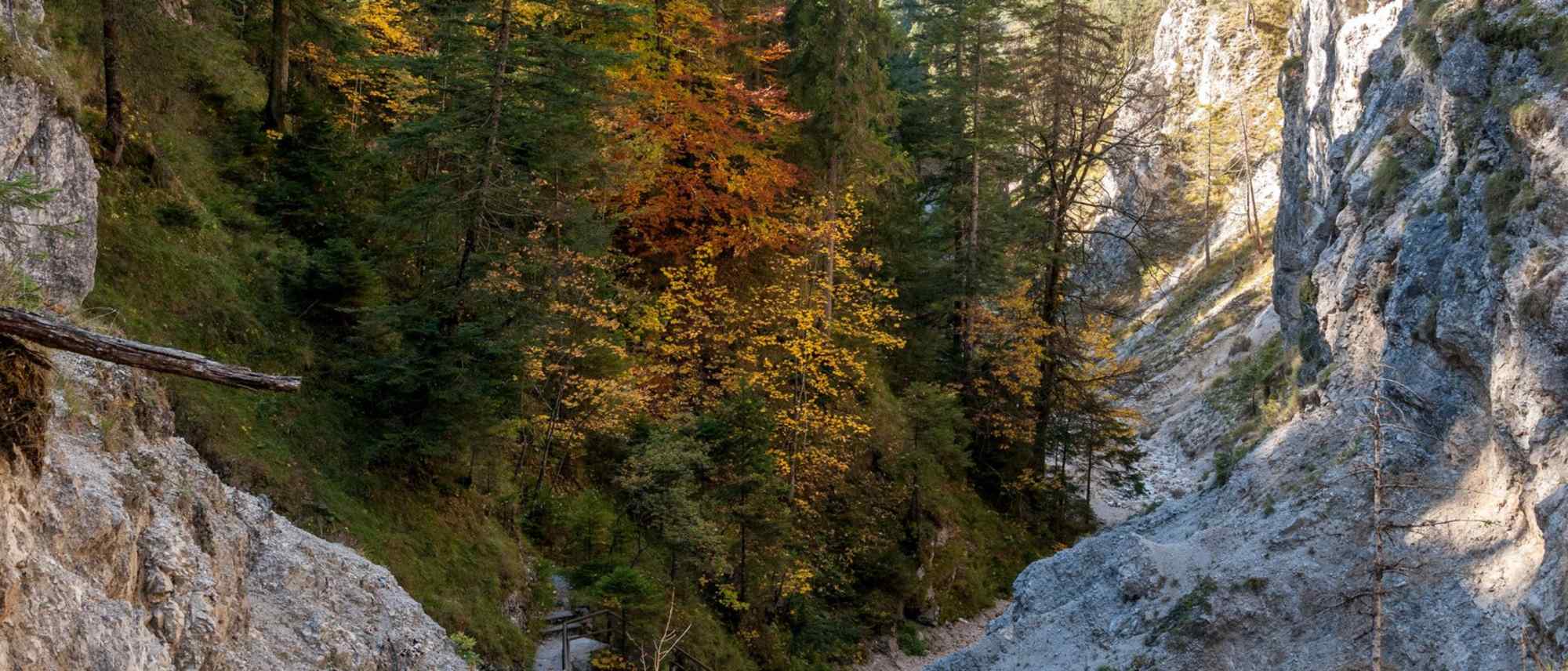 Durch die beeindruckende Hüttlebachklamm bei Krün.