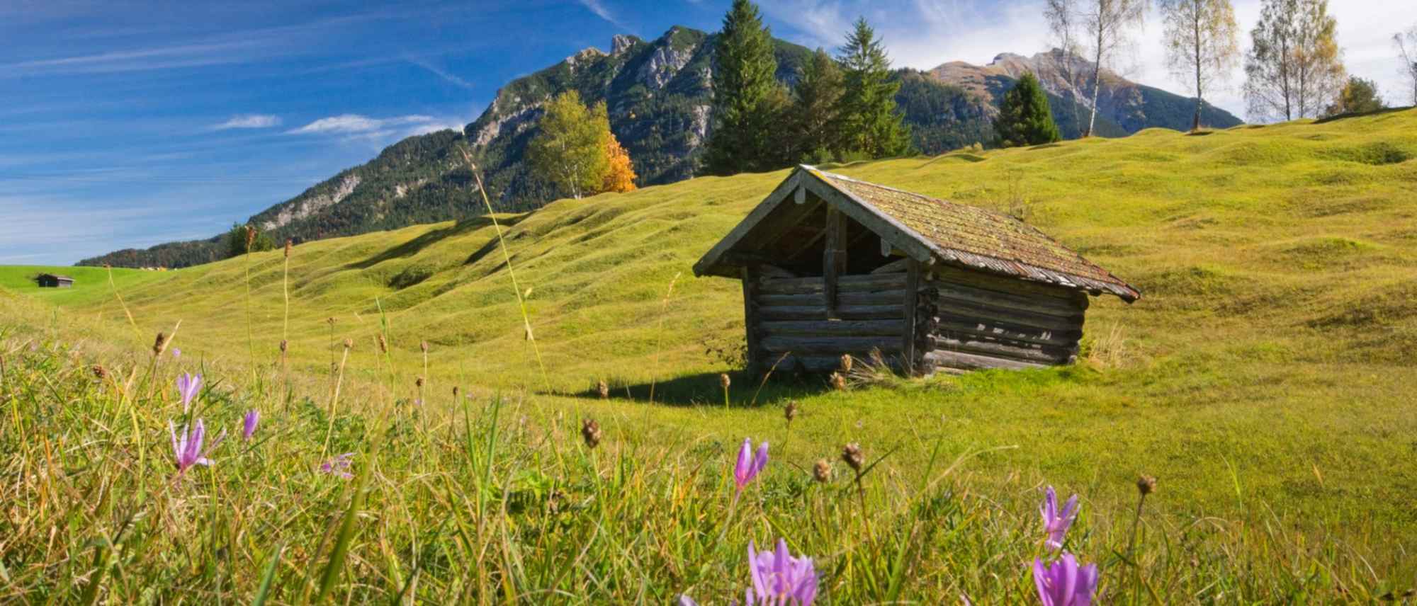 Stadel auf den Buckelwiesen