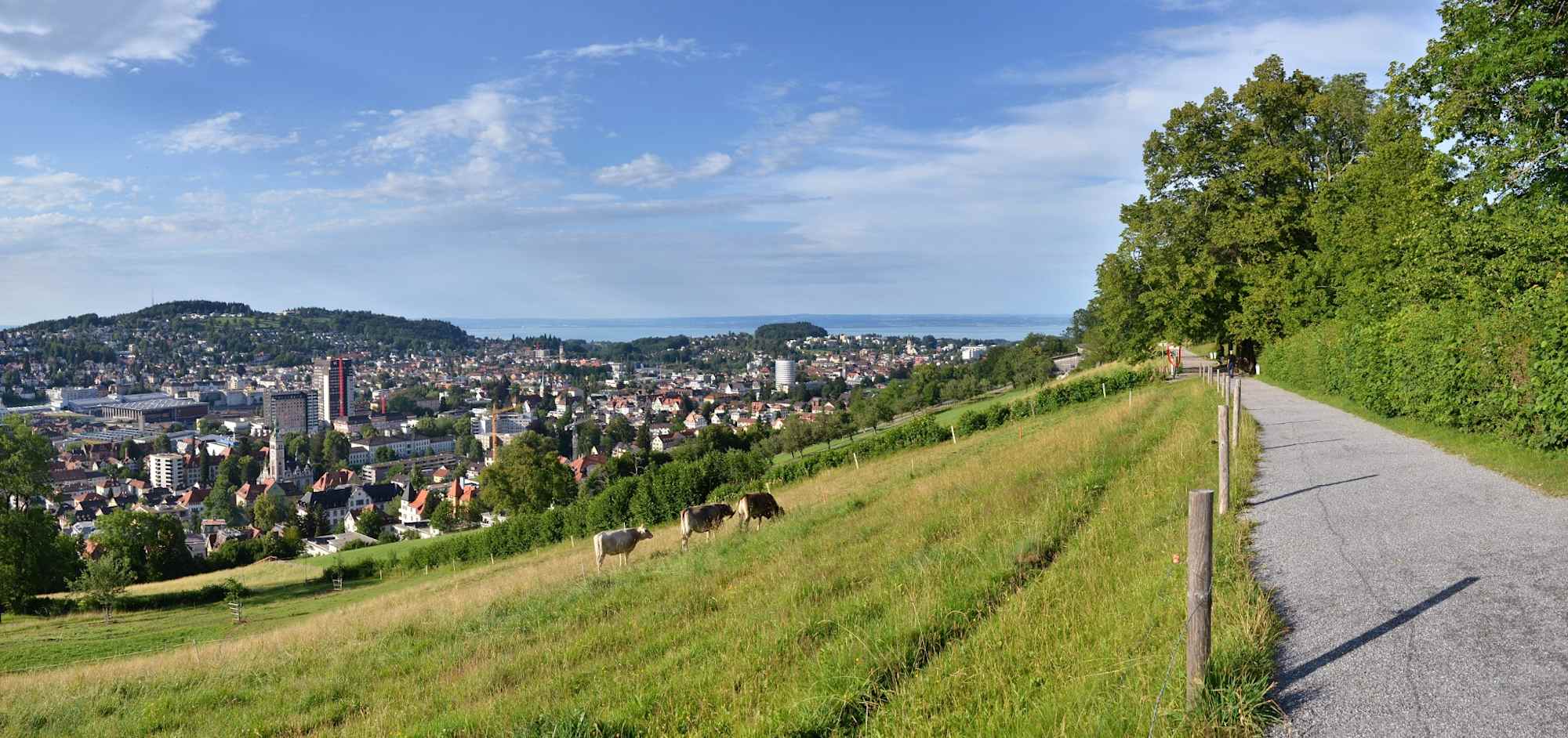 Panorama Drei Weieren