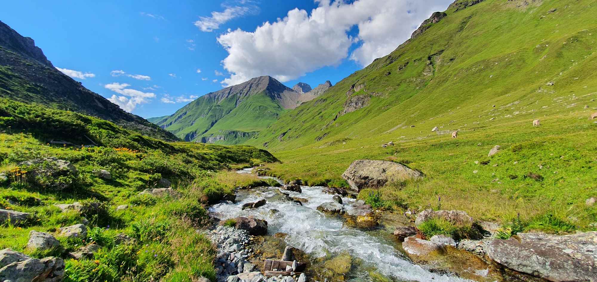 Schöne Landschaft zur Alp Flix