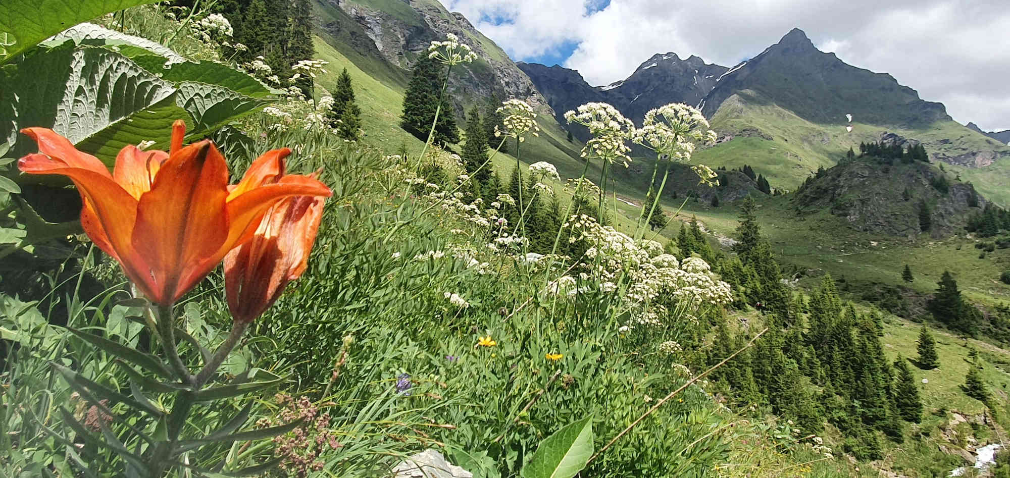 Schöne Landschaft zur Alp Flix