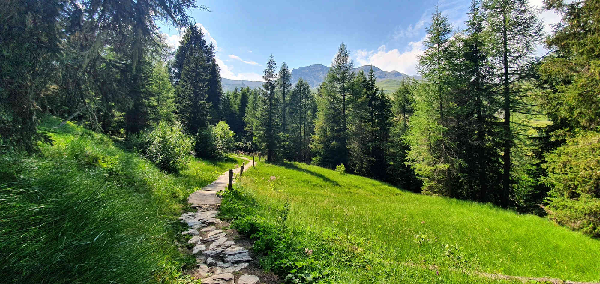 Schöner Weg