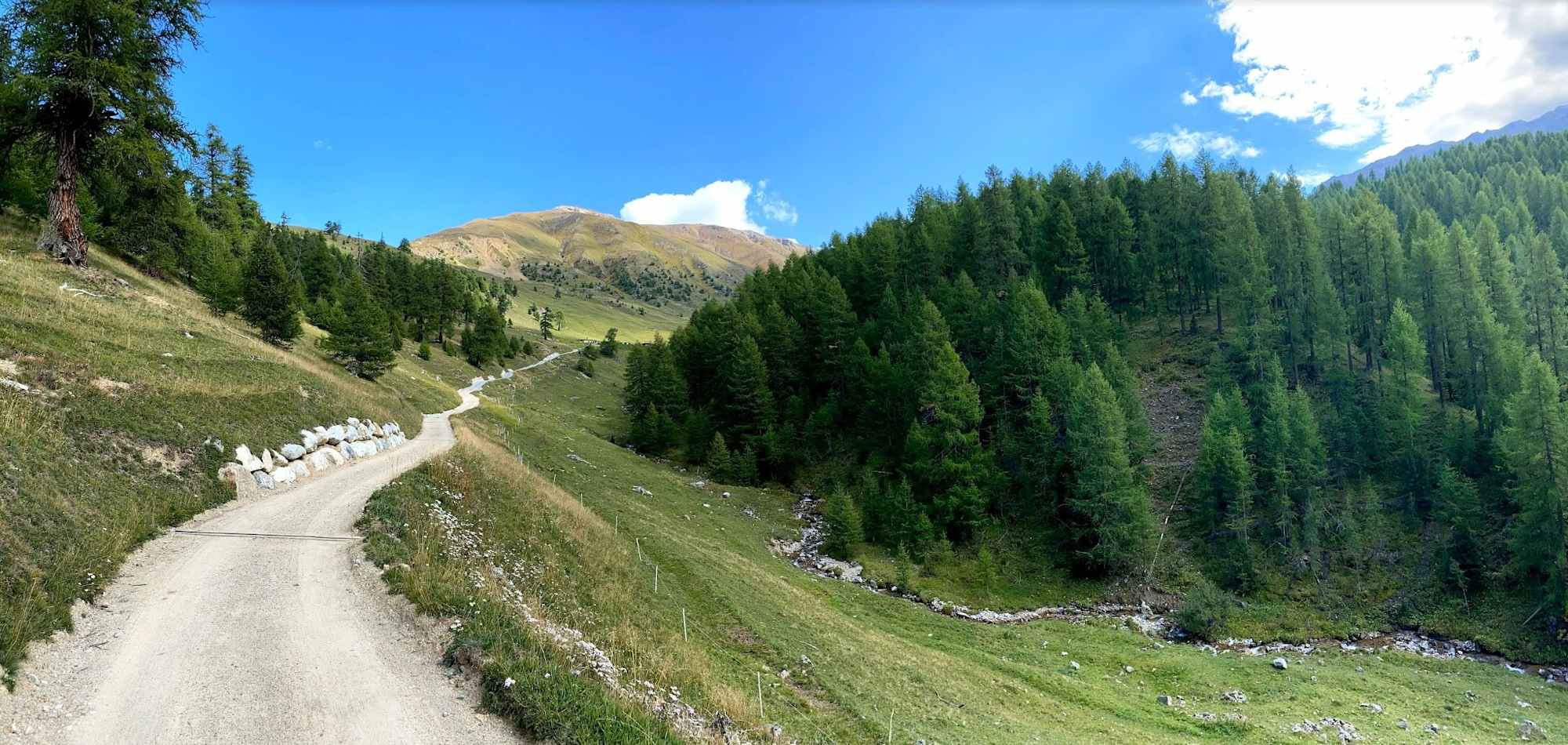 Alpweg zur Alp Arpiglia