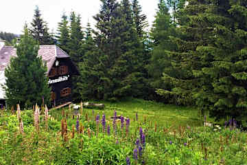 Die Zirbenwaldhütte ist eine urige und gemütliche Selbstversorgerhütte im steirischen Gebiet der Lavanttaler Alpen.