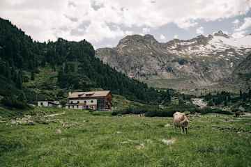 Die Alpenrosenhütte liegt auf 1.878 m im hintersten Zillertal in Tirol.