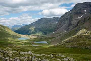 Viola Hütte