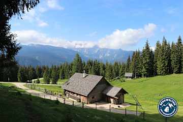 Die Iglmoosalm auf 1.206 m Höhe.
