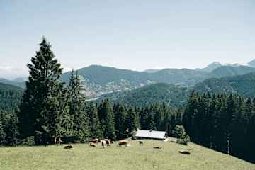 Die Kreuzbergalm auf 1.223m Höhe