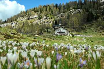 Rifugio Lancia
