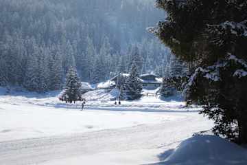 Blick auf die Wildmoosalm mit Langlaufloipe und Winterwanderweg