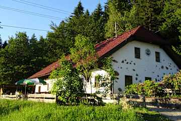 Eidenberghaus