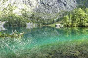 Fischunkelalm