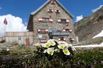 Hochwildehaus