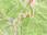 Streuböden (Fieberbrunn)