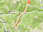 BergeSeenTrail - Etappe 11: Goiserer Hütte - Gosau-Hintertal