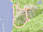Trailrunning Hernler/Mairalm-Steig Traunstein