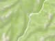 Cojote