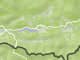Kreuzbergl: Wälder & Schlösser