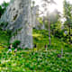 Die Eiszeitpfade: Wandern auf der Schwäbischen Alb